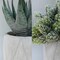Set of 3 Mini Artificial Succulents in Gray Hexagon Ceramic Pots – Faux Small Potted Aloe, Hops & String of Pearls Plants for Modern Home, Office Desk, Kitchen & Shelf Decor